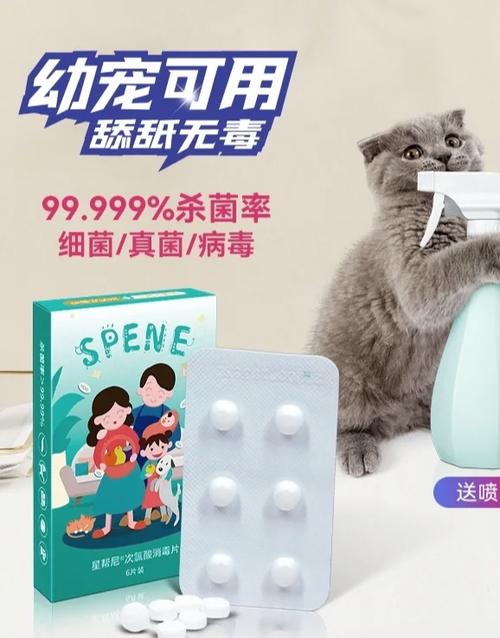 猫舍遇到猫瘟怎么处理
