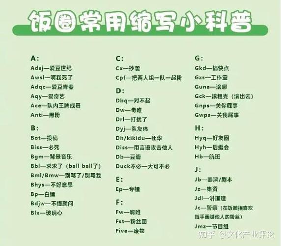 set饭圈用语