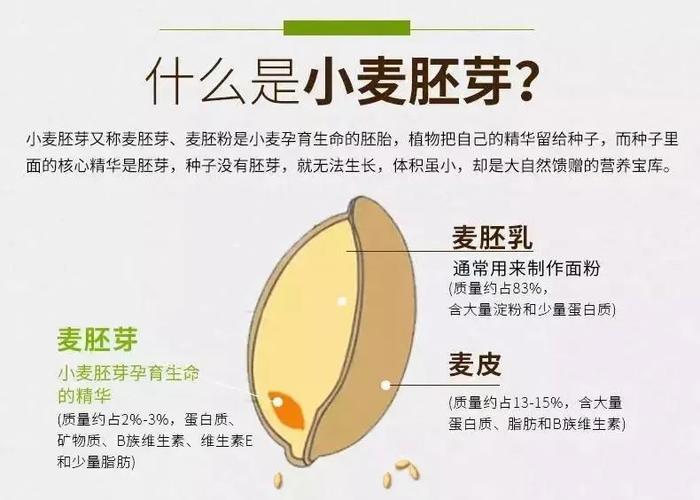 什么叫小麦胚芽