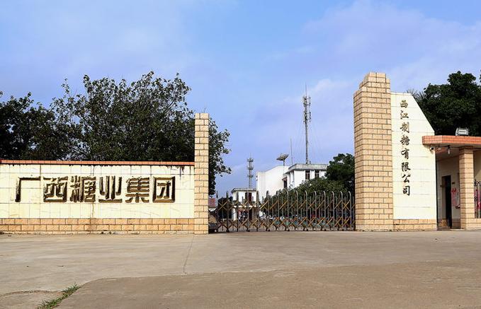 广西糖厂排名第一位