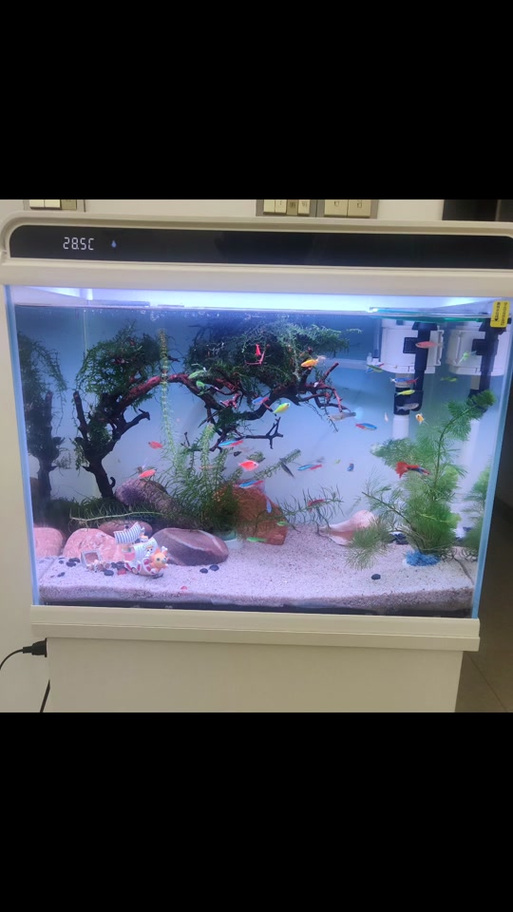 森森鱼缸设置截图3