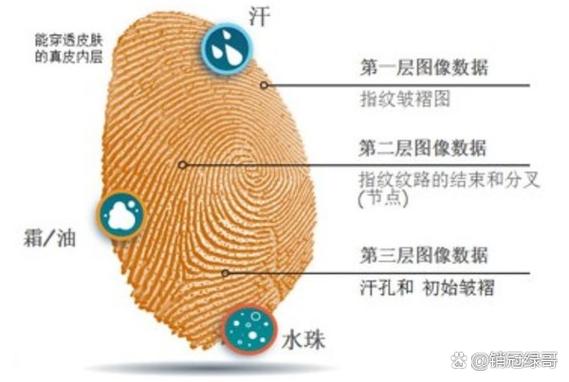 屏下指纹容易坏吗