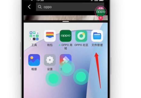 oppo手机不能分屏怎么办