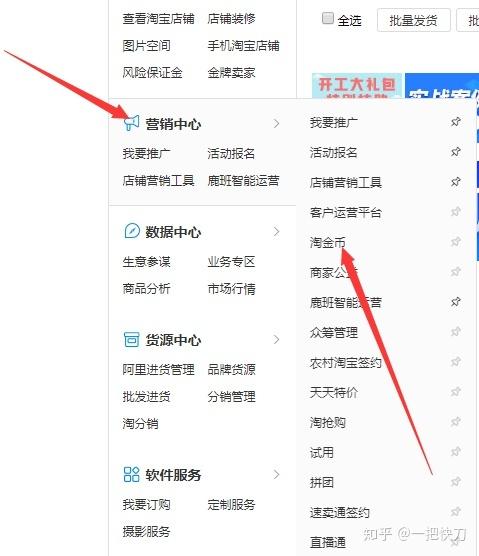卖家设置淘金币花钱吗