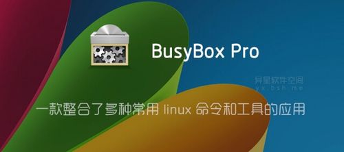 busybox专业版汉化版