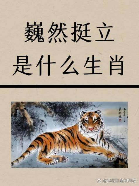 郑板桥打一准确生肖