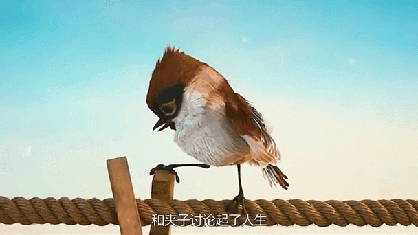 《绳索人生》原版