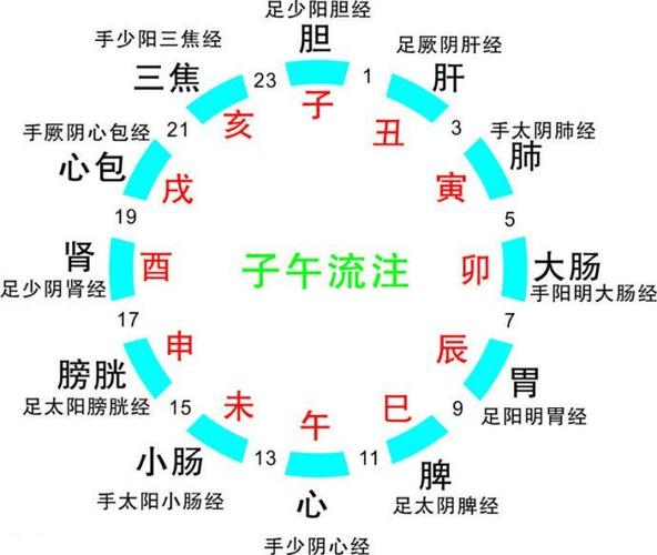 一天24小时对应的时辰