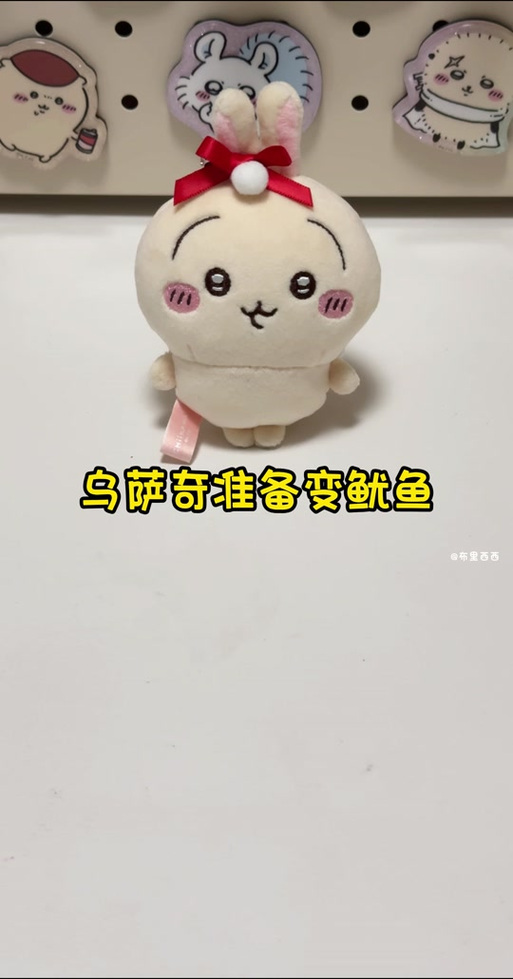 章鱼是什么牌子的衣服