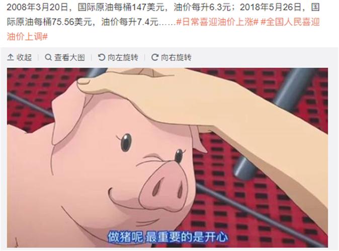猪让piglet一笑