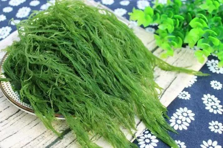 海草的样子