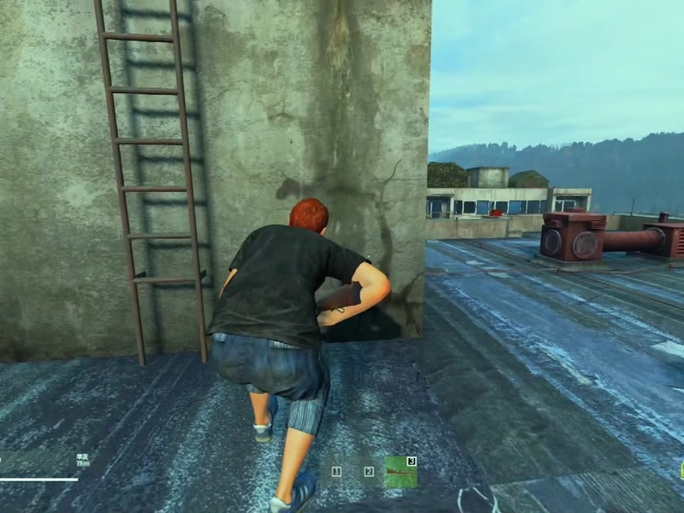 dayz有单机模式吗