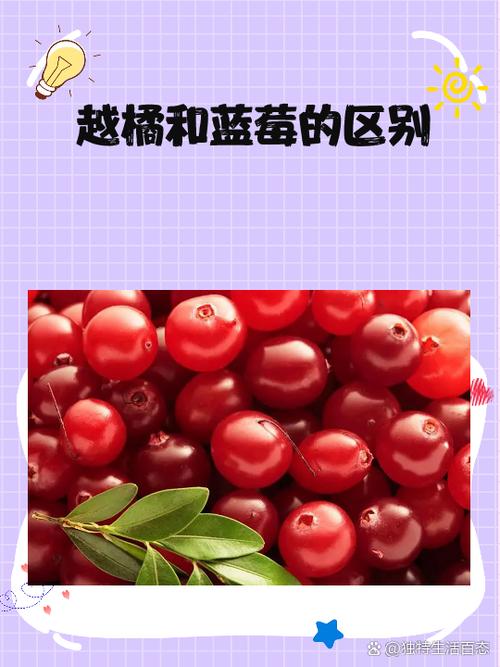 小班水果的形状教案反思