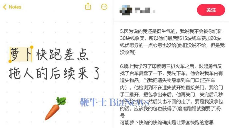 萝卜 新闻