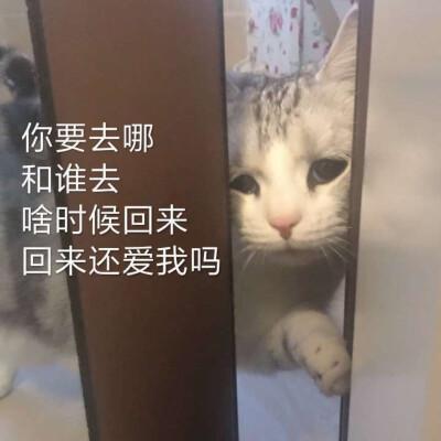 你啥时候回来表情包