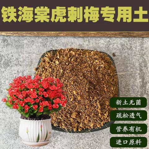 海棠用什么土种植最好
