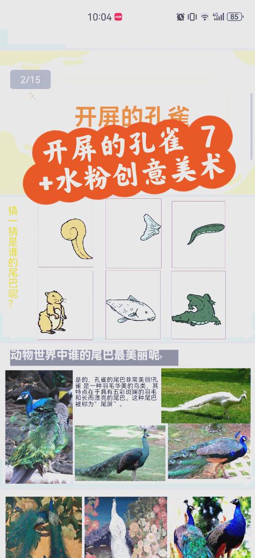 动物变颜色全部过程视频教程