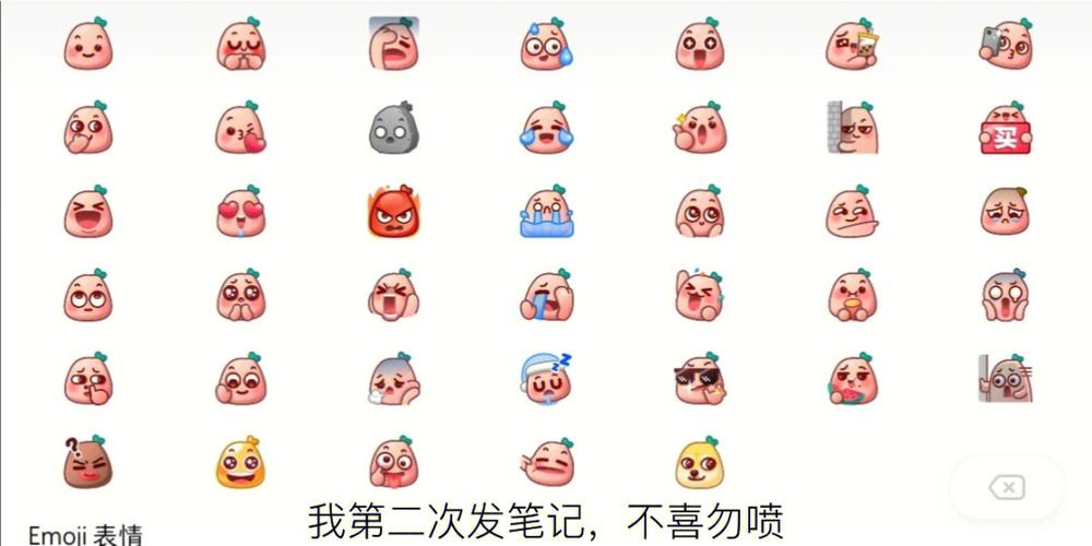 小红书里私聊的表情解释