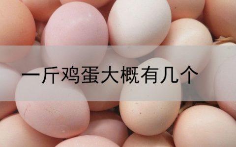 一斤有多少鸡蛋
