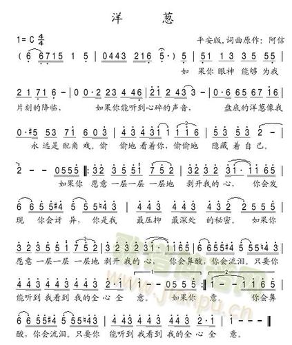 洋葱杨宗纬歌词