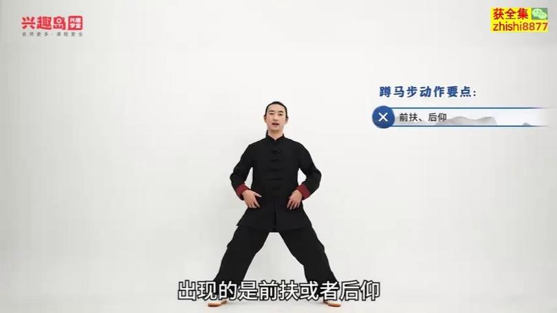 李在峰太极八段锦教学视频