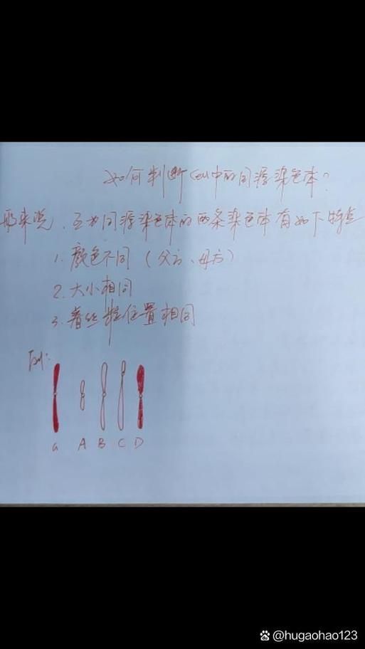 医院感染同种同源怎么判断