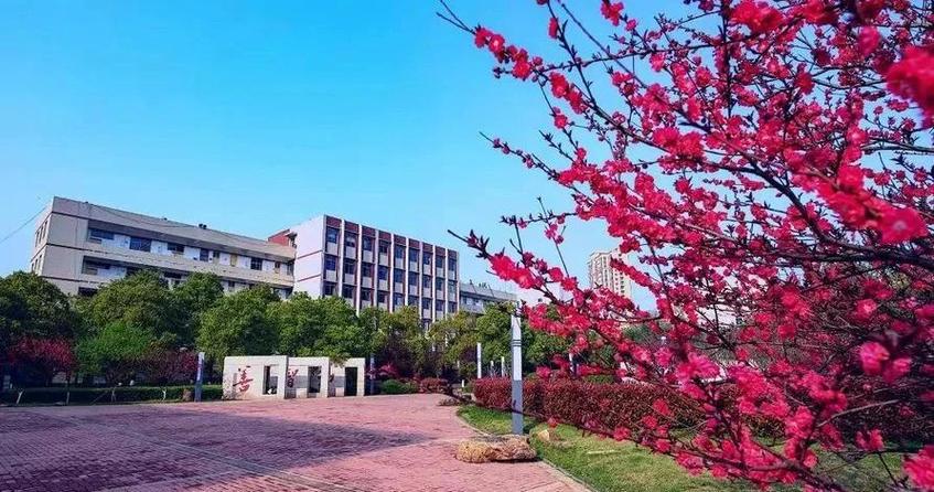 湖南女子学院什么档次截图3