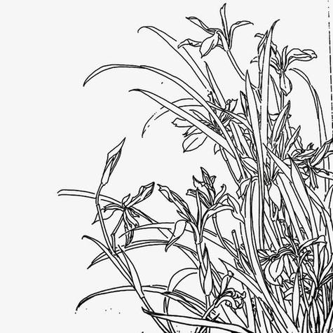 黑白线描抠图的方法