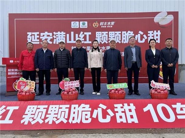 鲜丰水果卡余额查询
