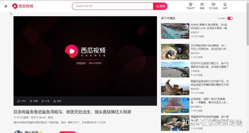 西瓜视频怎么看附近人的直播