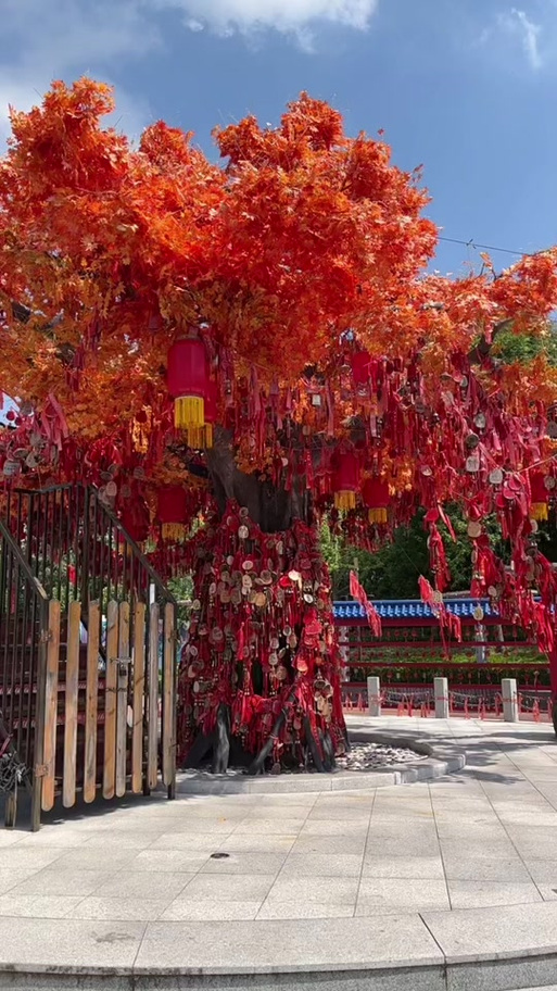 许愿树网上免费许愿截图2