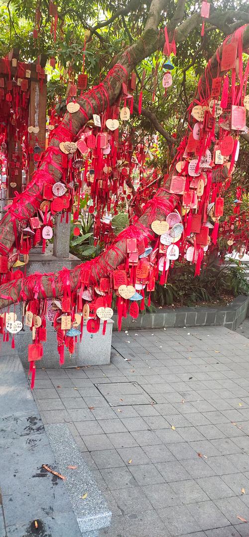 许愿树网上免费许愿截图3
