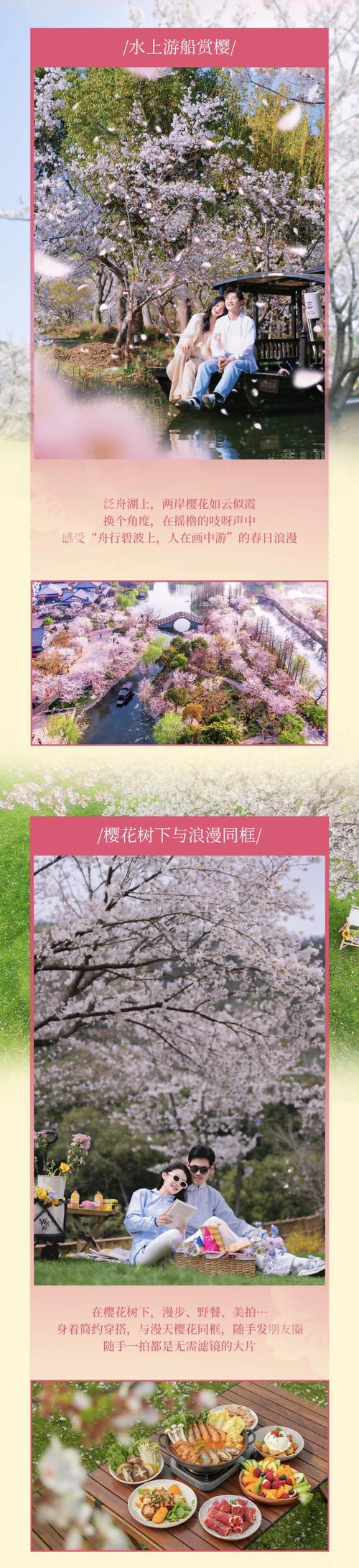 yy抽奖樱花多少必中