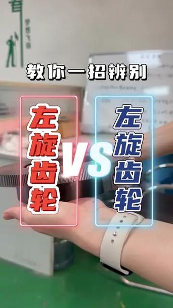 齿轮的左右旋怎么确定