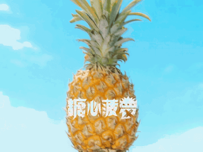 菠萝的拼音怎么拼读截图2