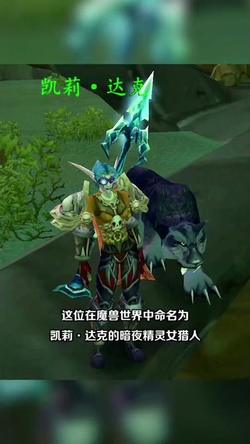 wow暗夜女猎人和男猎人