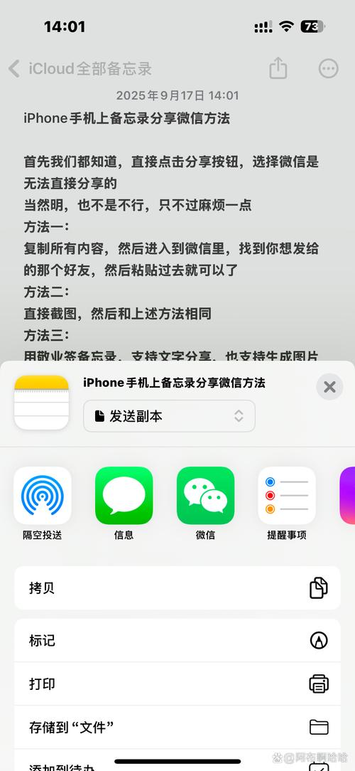 苹果手机录音分享不了微信截图2
