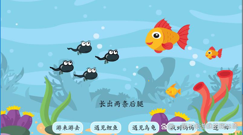 flash课件免费