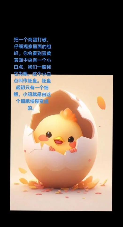 变成小鸡仔怎么变身的截图2