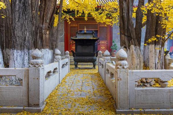 北京大悲寺