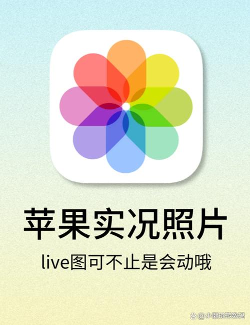 苹果实况照片怎么不会动了截图2