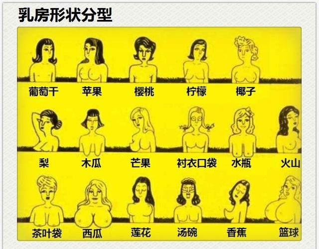 女性胸型有几种分类图片截图2