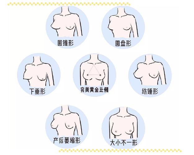 女性胸型有几种分类图片截图3