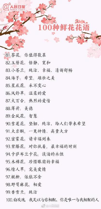各种花代表的寓意及花语