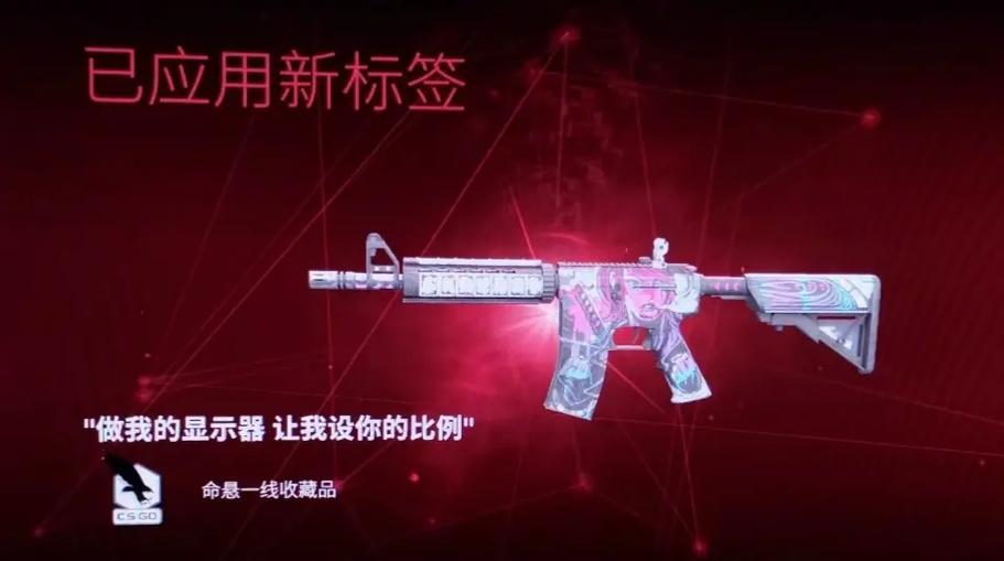 csgo用了改名标签会在枪上
