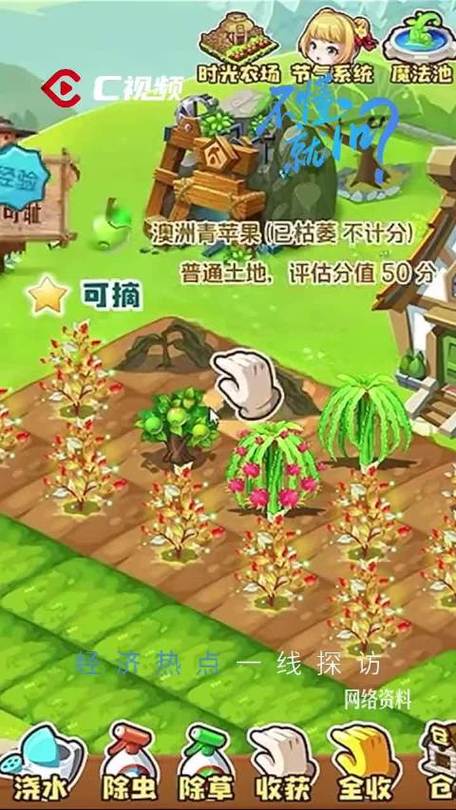 两个人一起种菜的游戏
