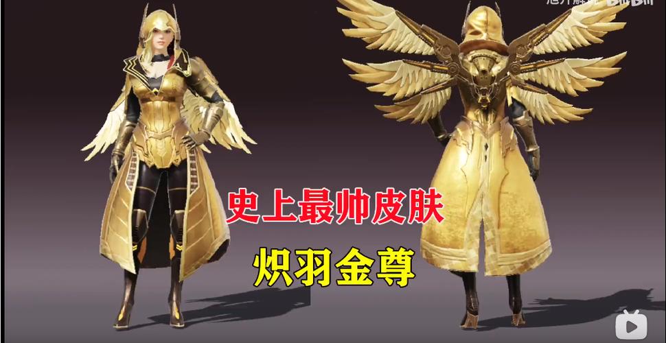 赤羽金尊画质助手