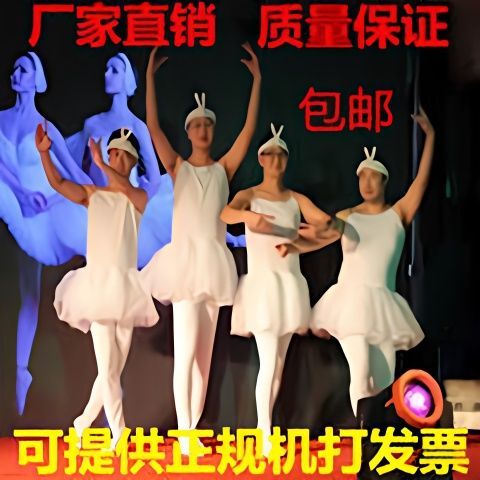小男孩穿上天鹅舞裙截图2