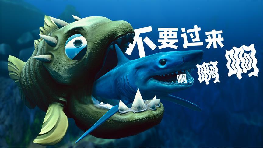 食人鱼vs鲨鱼
