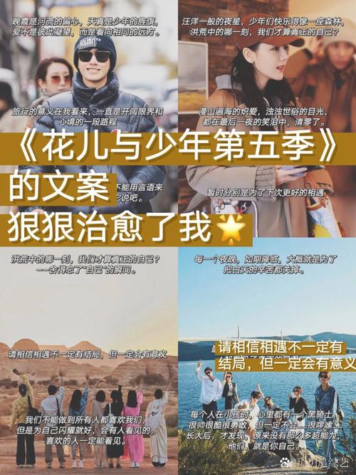 花儿与少年文章
